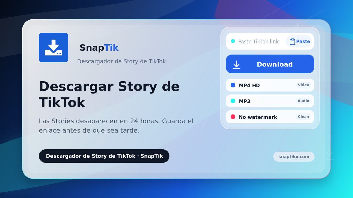SnapTik - descargar Story de TikTok