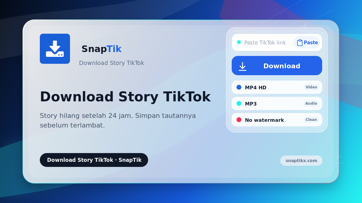 SnapTik - download Story TikTok