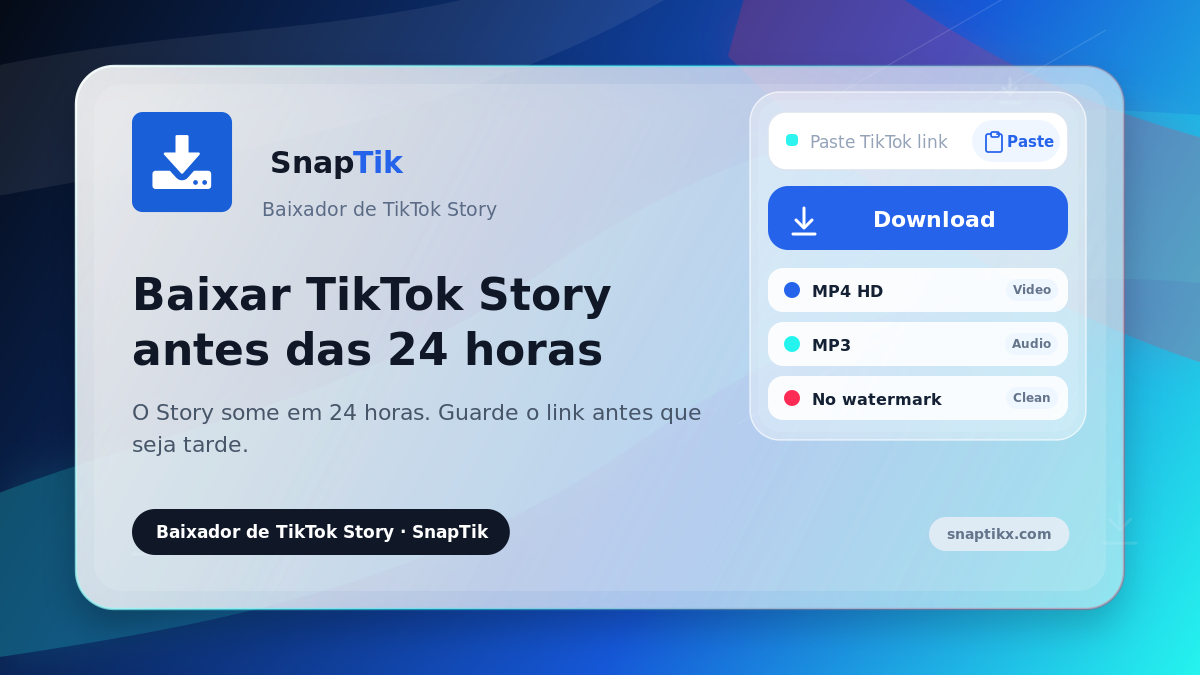 SnapTik - baixar TikTok Story