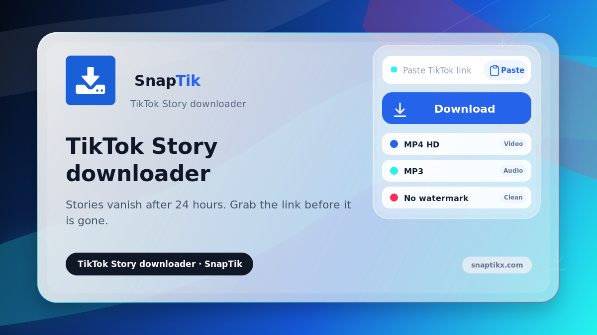 SnapTik - TikTok Story downloader